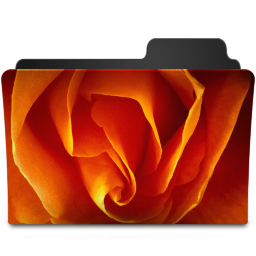 Orange Rose Icon 256x256 png